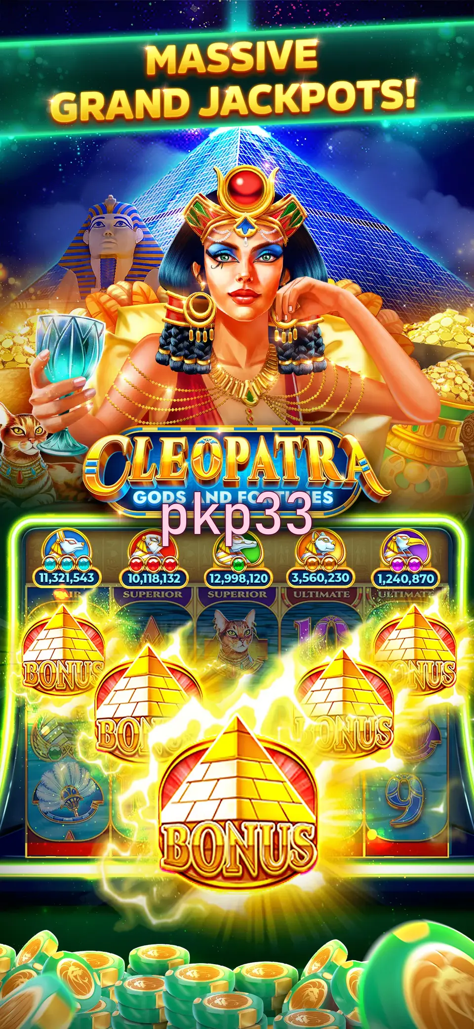 pkp33 Login